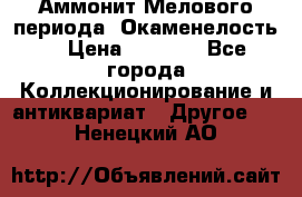 Аммонит Мелового периода. Окаменелость. › Цена ­ 2 800 - Все города Коллекционирование и антиквариат » Другое   . Ненецкий АО